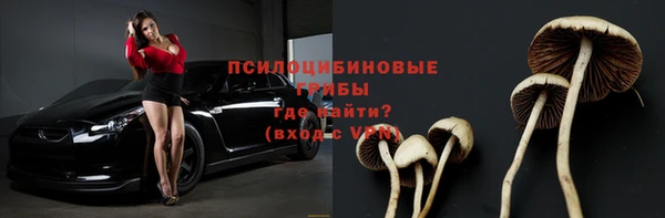 амф Протвино